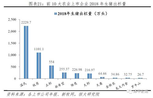 能源市场的波动，影响、成因与应对之策